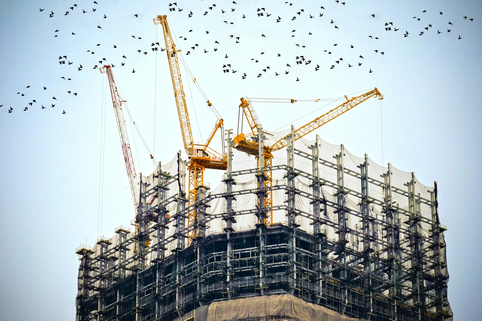 Grúas en desarrollo en altura